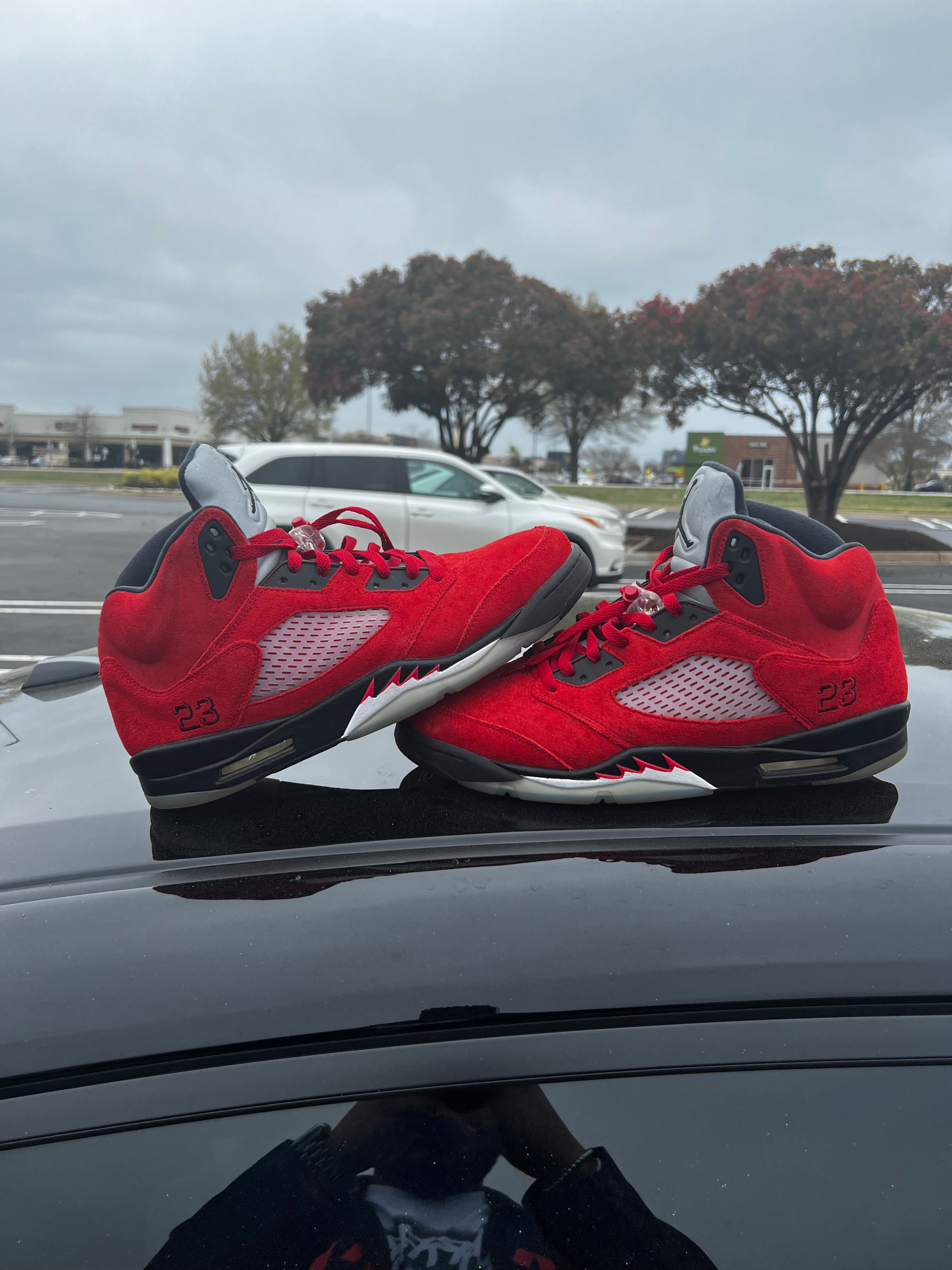 Raging Bull 5s