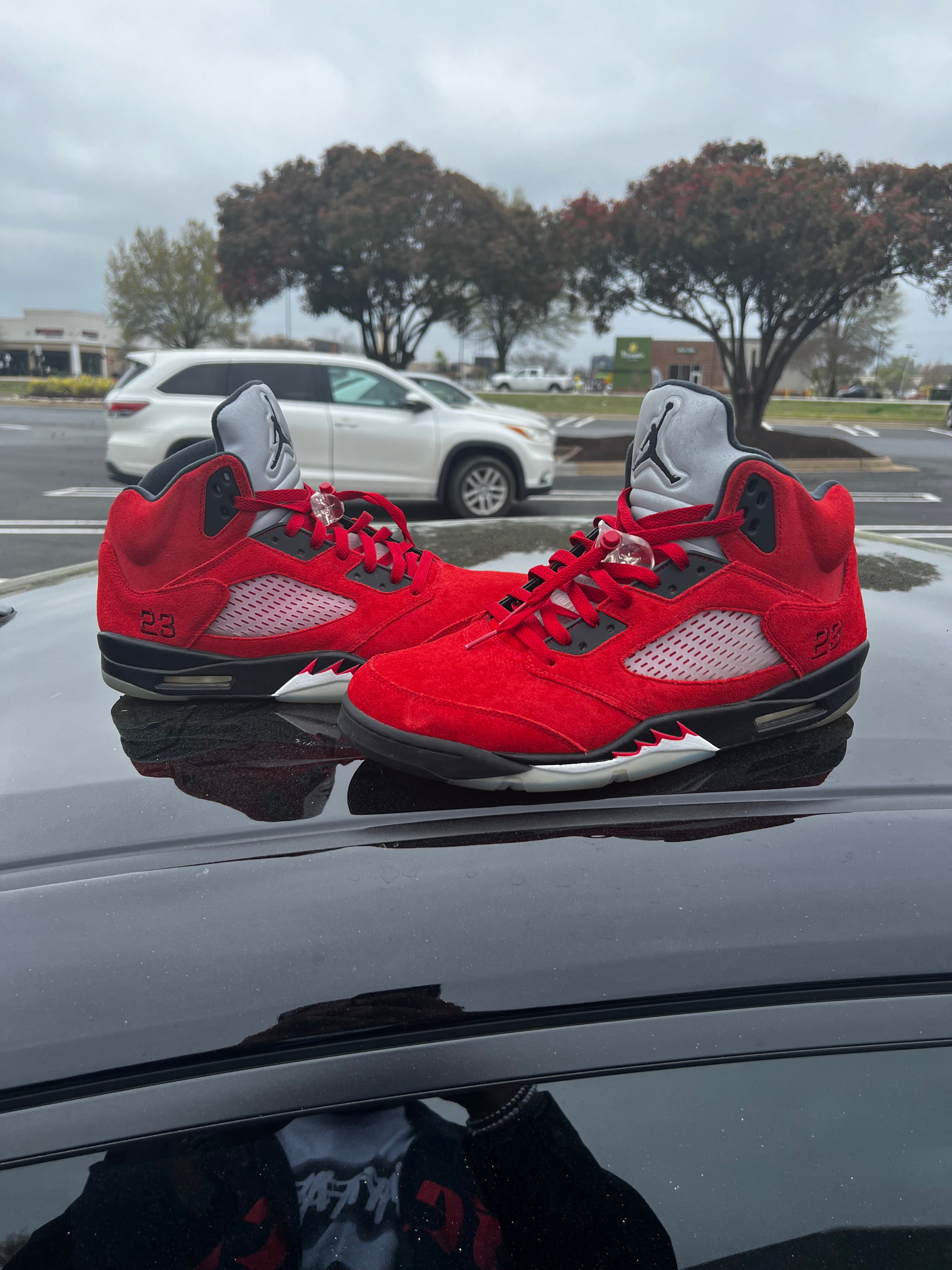 Raging Bull 5s