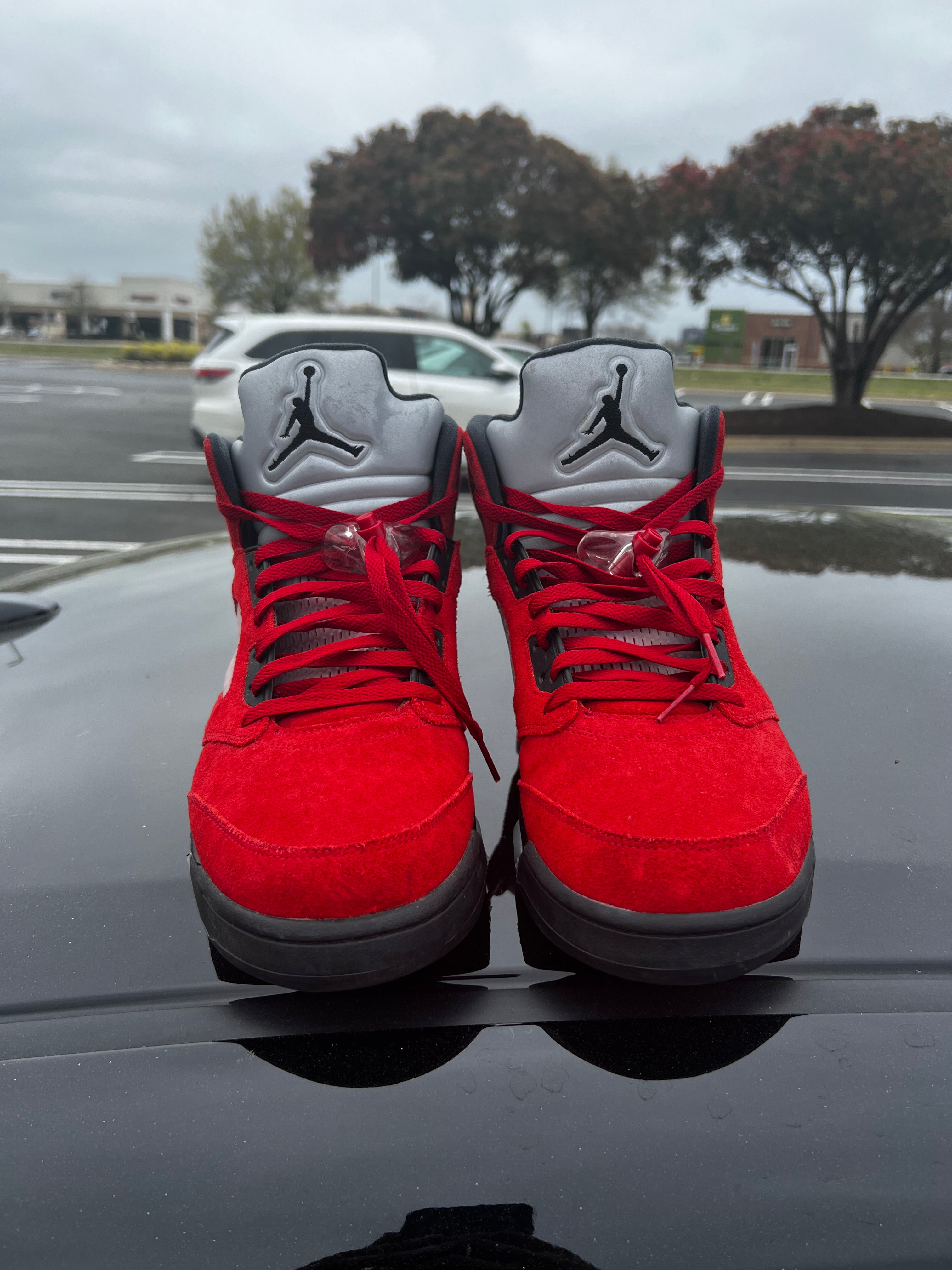 Raging Bull 5s